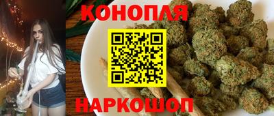 крисы Краснодар