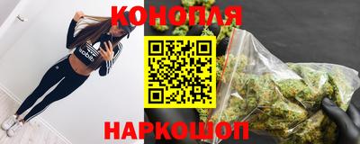 крисы Краснодар
