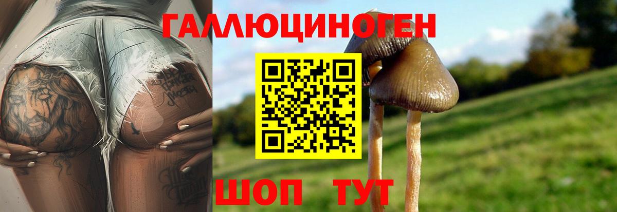 Псилоцибиновые грибы GOLDEN TEACHER  Галлюциногенные грибы GOLDEN TEACHER  Вологда  Вход с VPN 